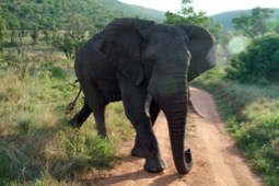 Johannesburg-02